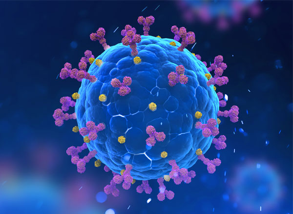 Il virus