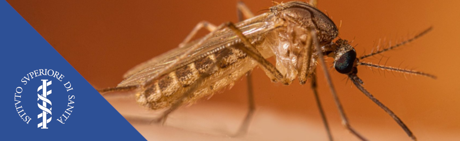 slide west nile