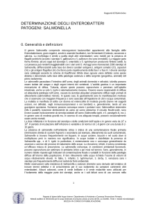 Icona
