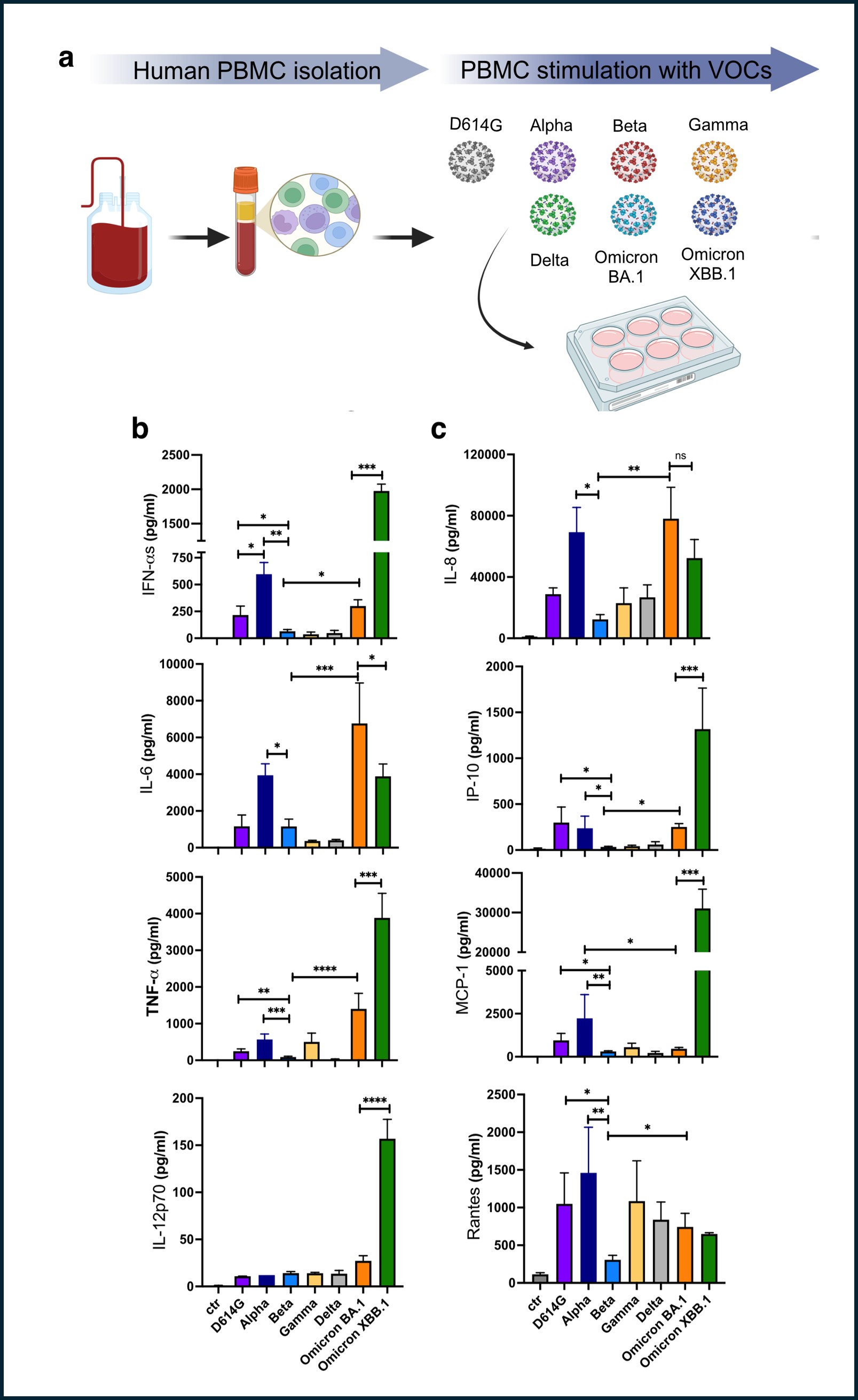 For further details regarding the image, please refer to the figure legend in the paragraph below.