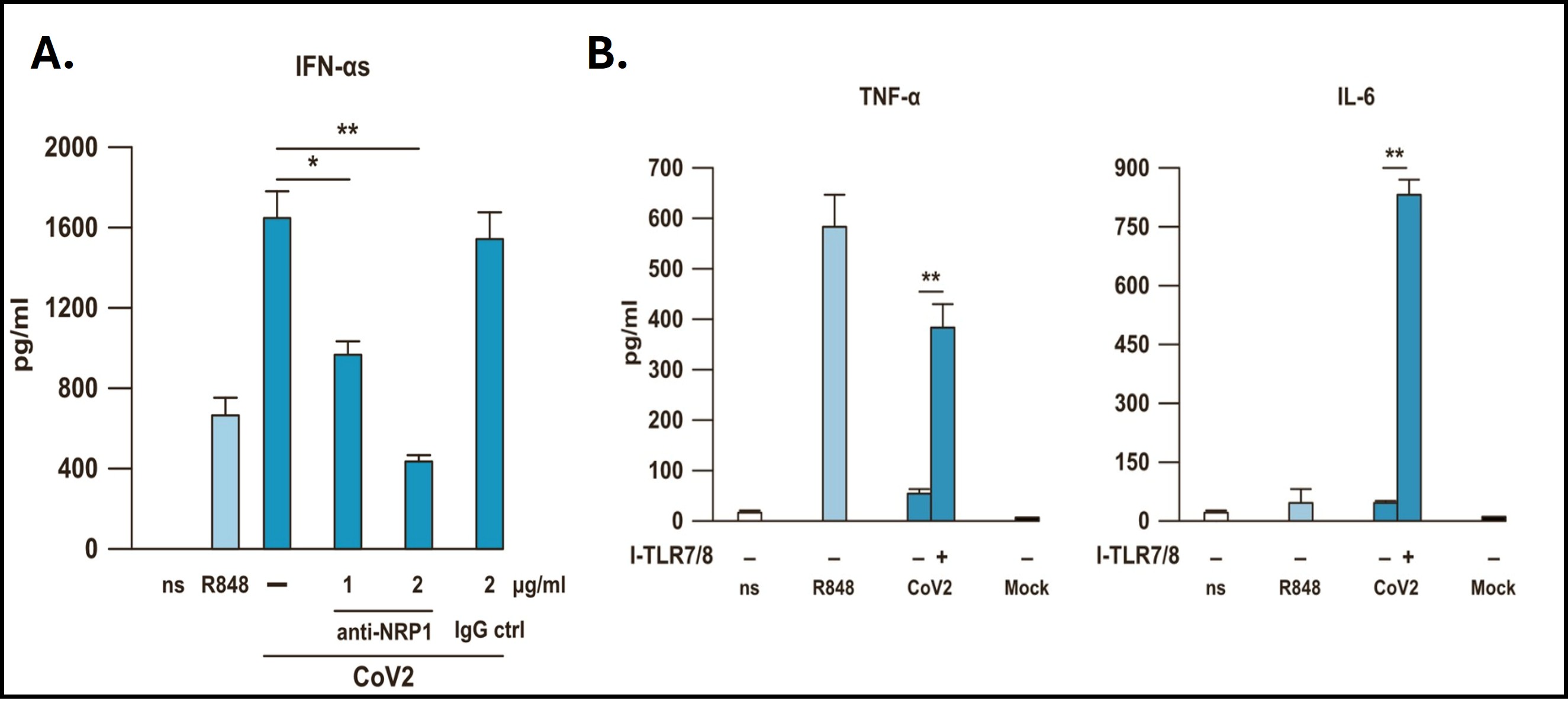 For further details regarding the image, please refer to the figure legend in the paragraph below.